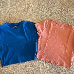 Hollister Blue and Coral Short Sleeve Crewneck Tees